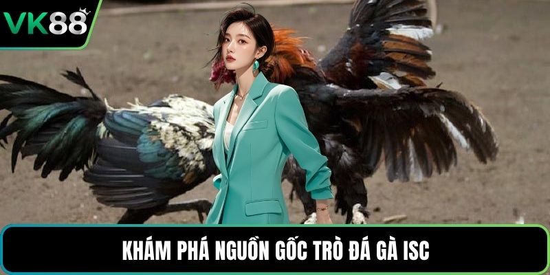 Khám phá nguồn gốc trò đá gà ISC