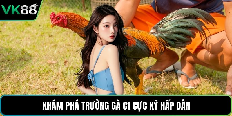 Khám phá trường gà c1 cực kỳ hấp dẫn