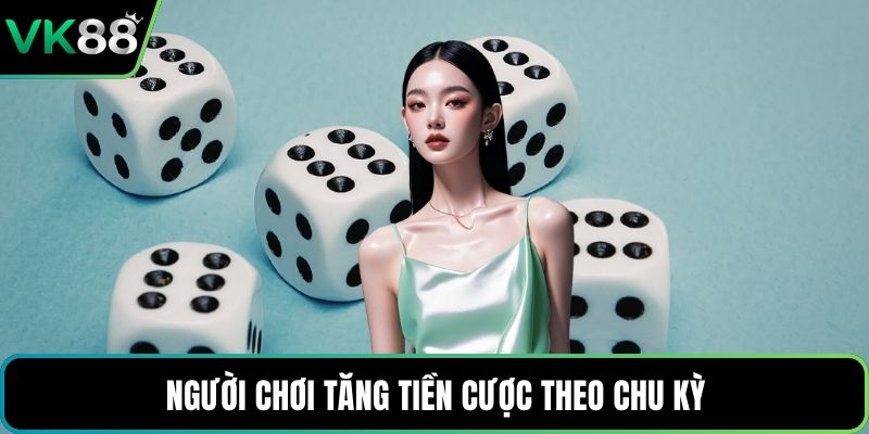 Người chơi tăng tiền cược theo chu kỳ
